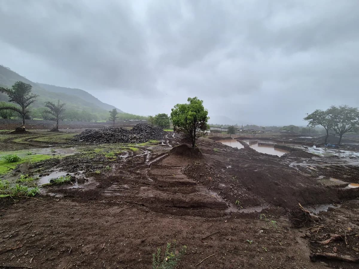 Site Clearing & Earthworks