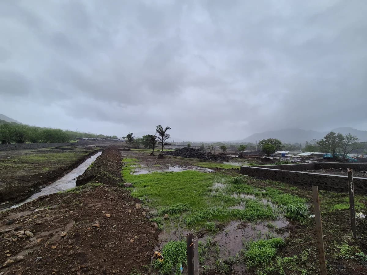 Water & Drainage Lines